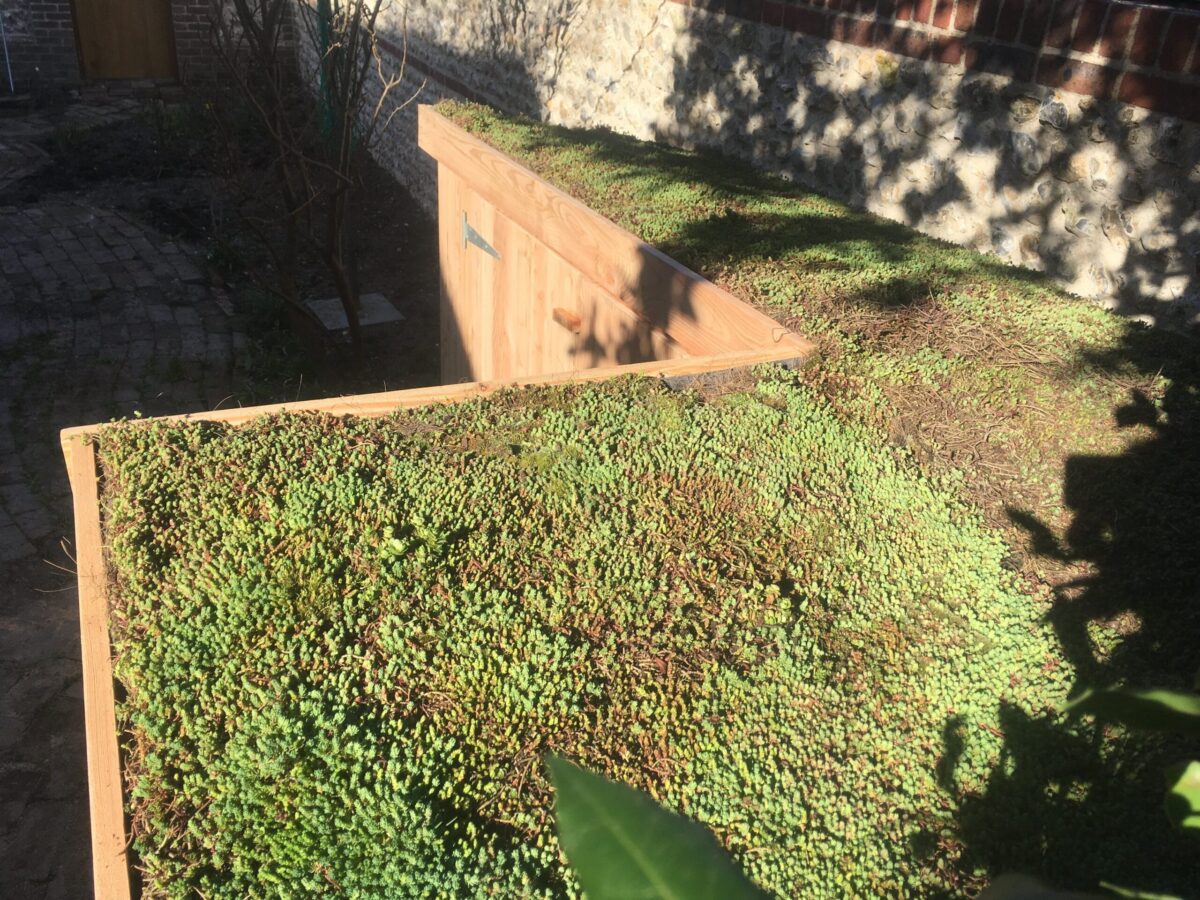 Bike shed with a living green roof in a garden setting (1 of 6)