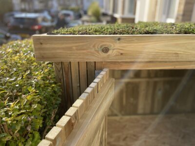 Bike shed with a living green roof in a garden setting (4 of 6)