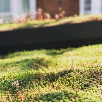 Bike shed fitted with a living green roof