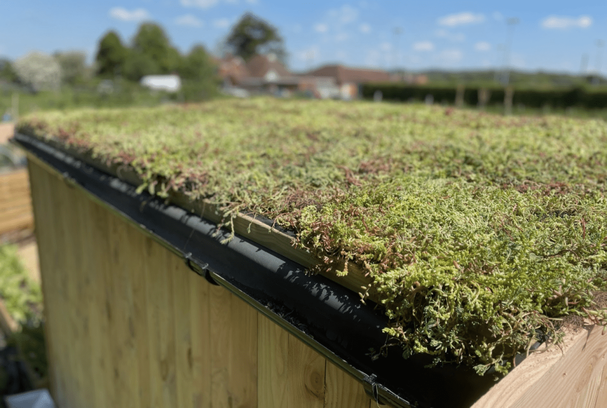 Screenshot showing green roof planting options for a bike shed (4 of 5)