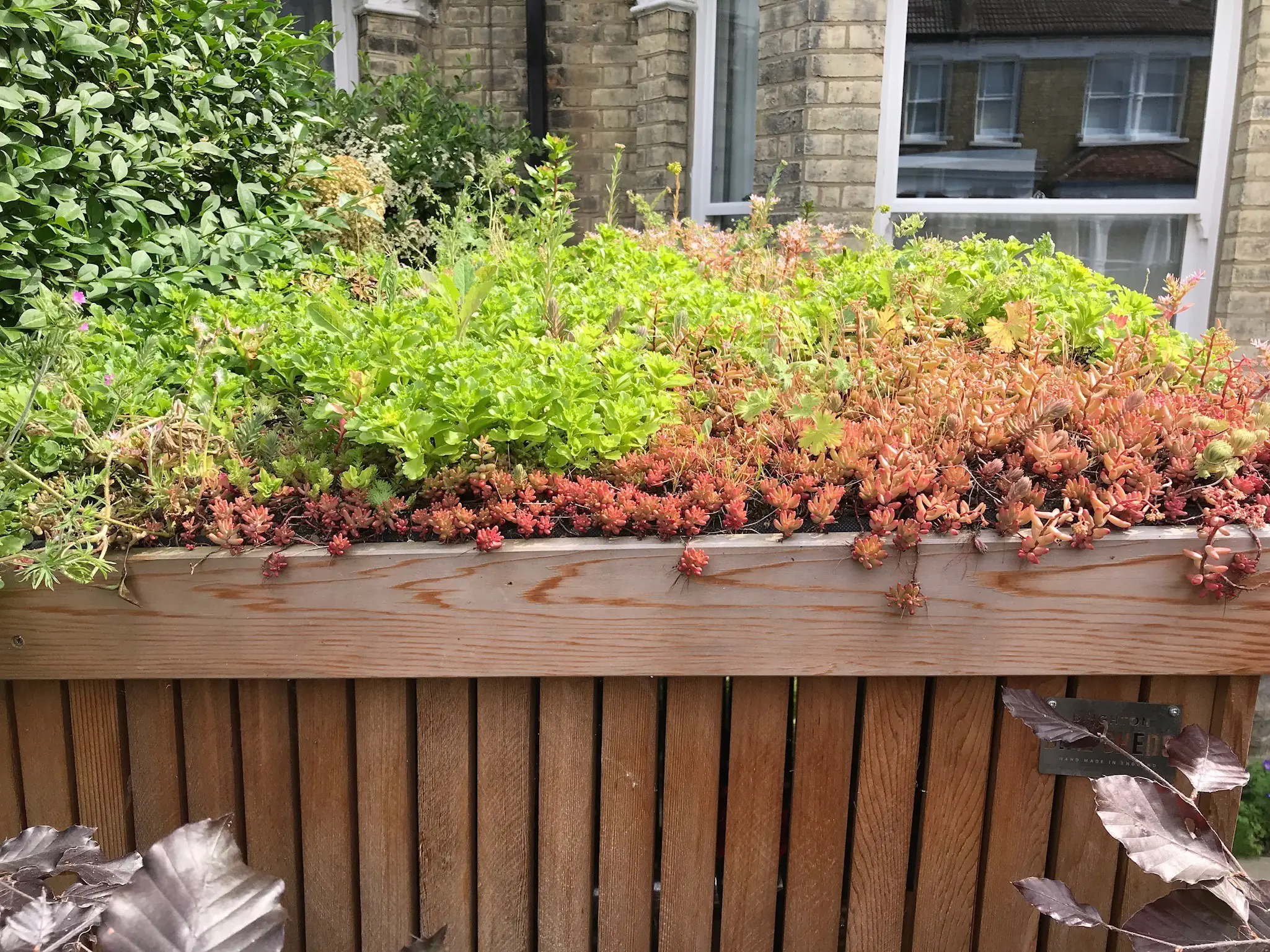 Bike shed installed in a customer's front garden